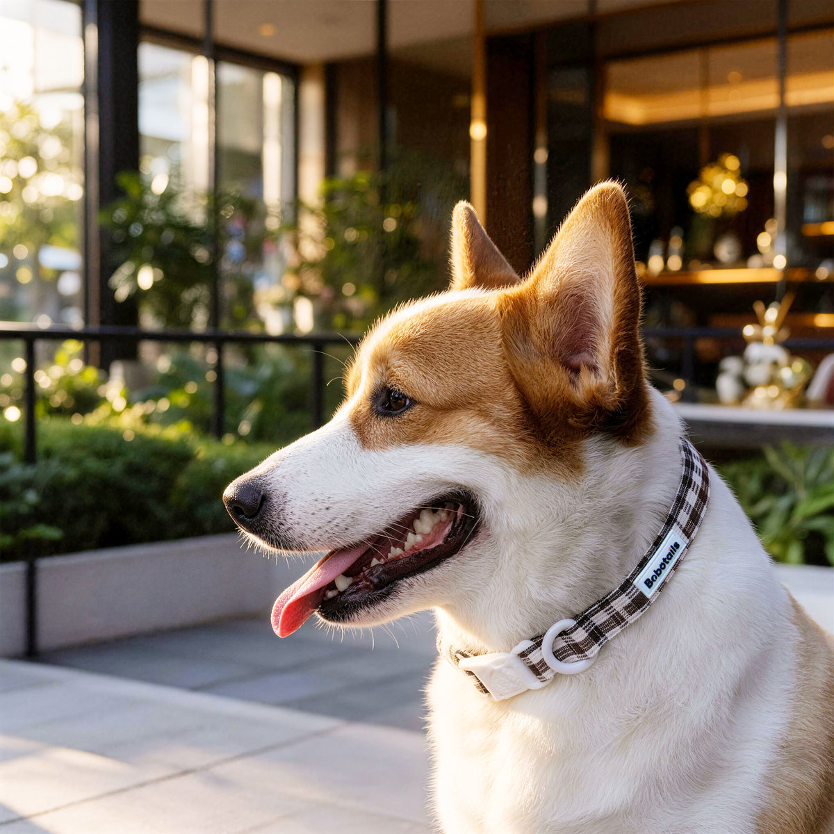 Plaid Dog Collar