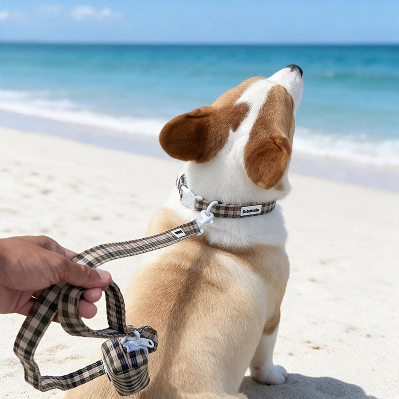 Bobotails plaid dog collar and leash set for small and meidum size dogs