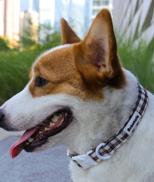 Plaid Dog Collar