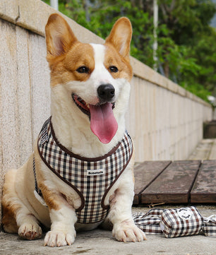 Bobotails plaid dog vest harness and leash set for small and medium dogs corgi