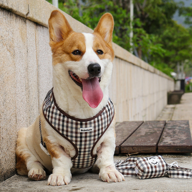 Bobotails plaid dog vest harness and leash set for small and medium dogs corgi