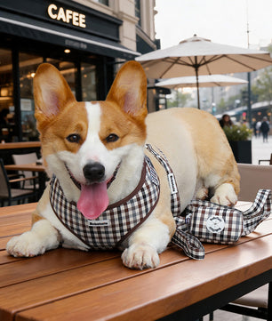 Bobotails plaid no pull dog harness medium dog corig at cafe shop