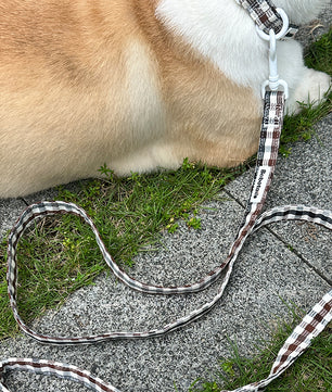 Bobotails tangyuan is lying on a gray stone path with grass, wearing a plaid collar attached to a matching plaid leash. The leash has a brown, white, and black plaid pattern with a white metal clasp.