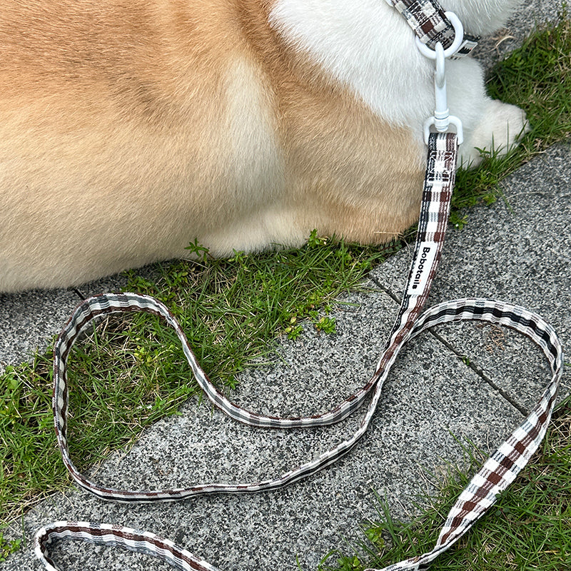 Bobotails tangyuan is lying on a gray stone path with grass, wearing a plaid collar attached to a matching plaid leash. The leash has a brown, white, and black plaid pattern with a white metal clasp.