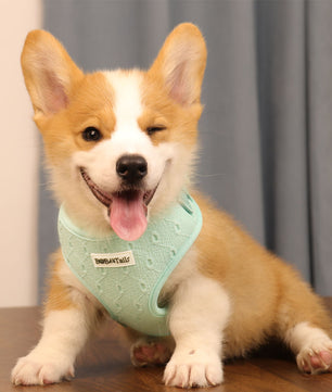 Silk Embroidery 3-Piece Harness Matching Bundle