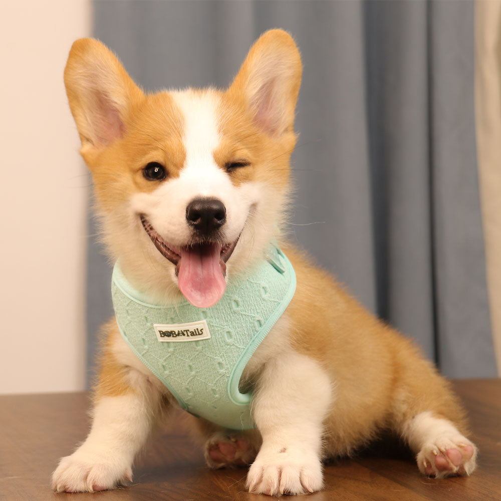 Silk Embroidery 3-Piece Harness Matching Bundle