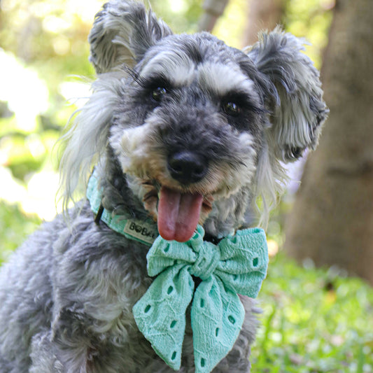 Bobotails silk embroidery Adorable and Stylish dog bowtie collar in a variety of colors and patterns - perfect for special occasions