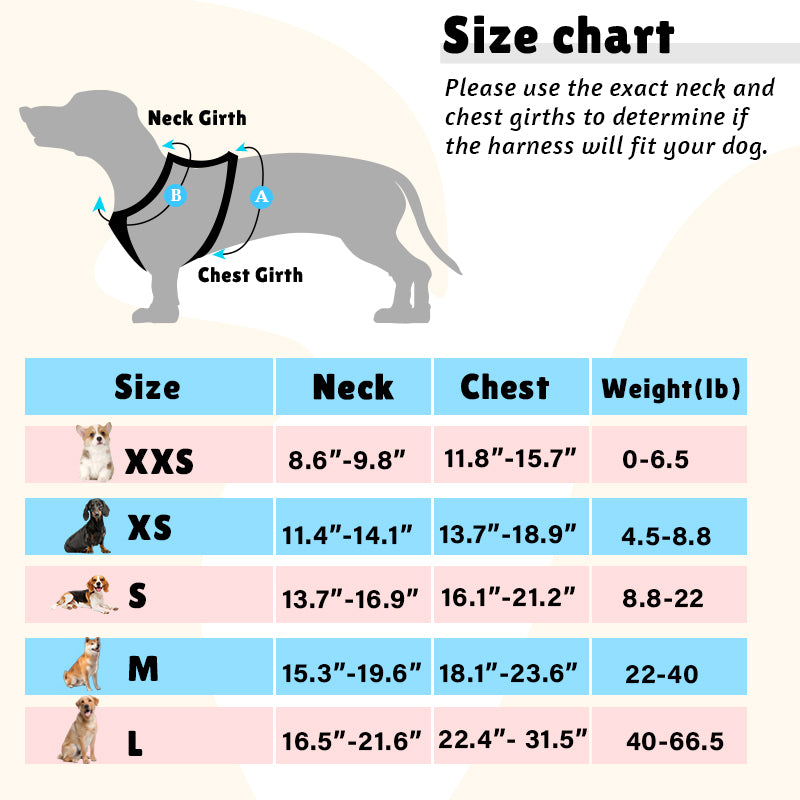 how to measure the dog girth guide