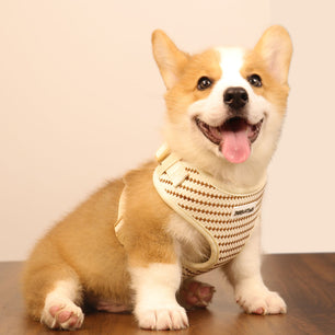 Small Grain Dog Harness