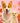 Bobotails small grain dog matching sets with owner fashion style