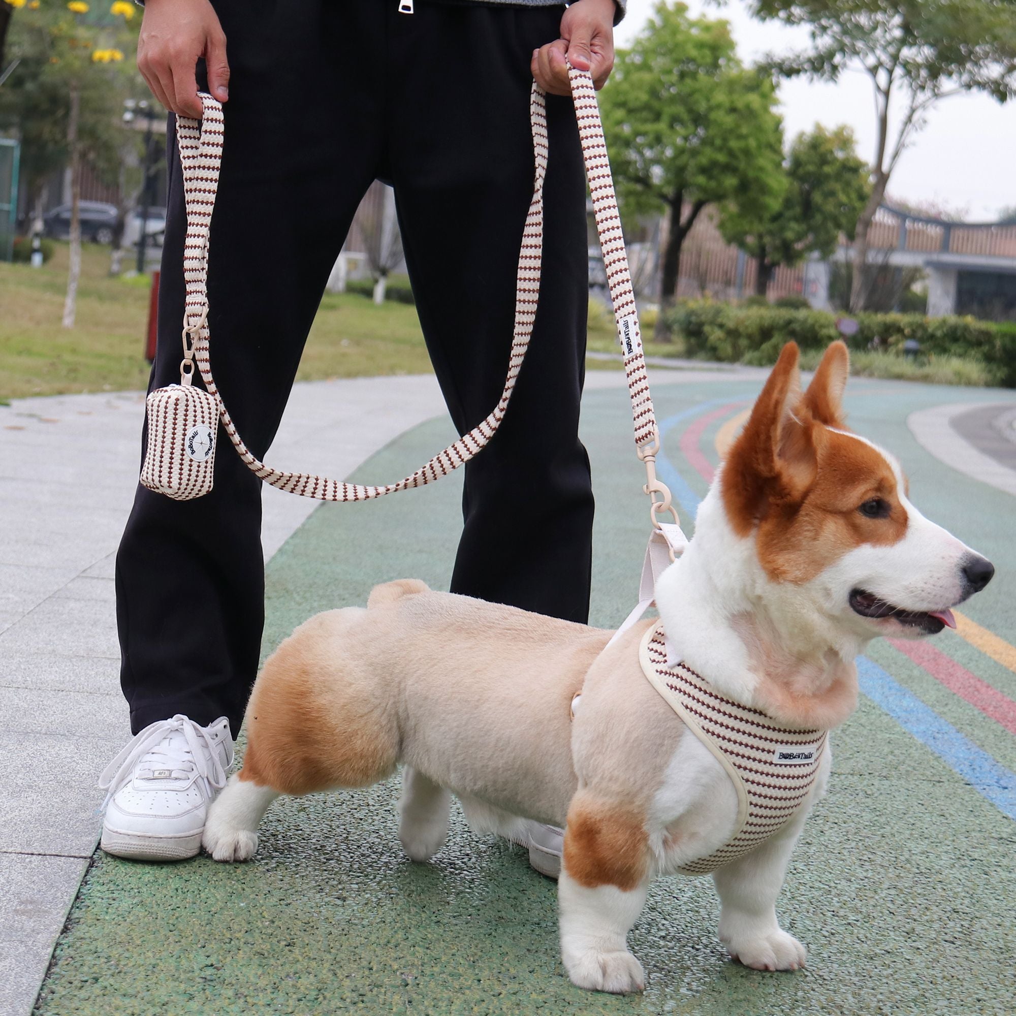 small grain dog leash with trash bag holder for pet