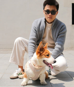 Dog wearing a leopard harness as part of a complete dog and owner matching accessory set
