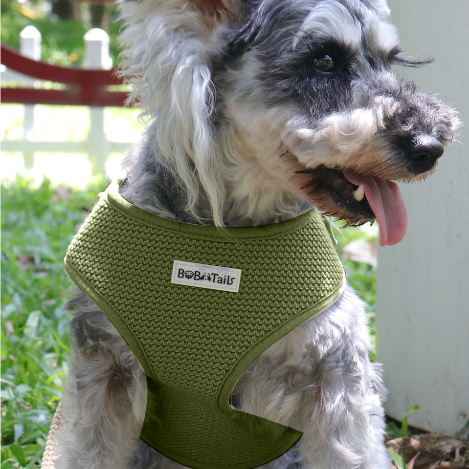 Puppy Harness, Adjustable Soft Padded Dog Vest, Airmesh Breatheable Pet Cotton material Vest with Easy Control for puppy training harness
