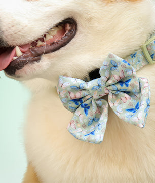 Butterfly Printed Bow Ties for Small Dogs