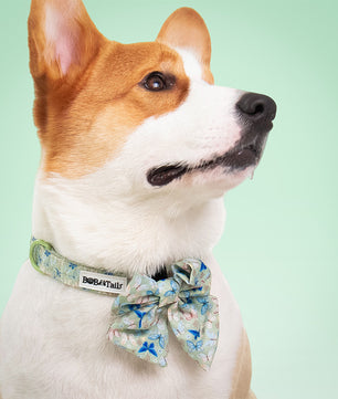 Butterfly Printed Bow Ties for Small Dogs