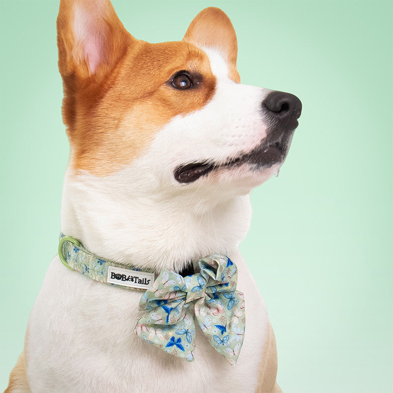Butterfly Printed Bow Ties for Small Dogs