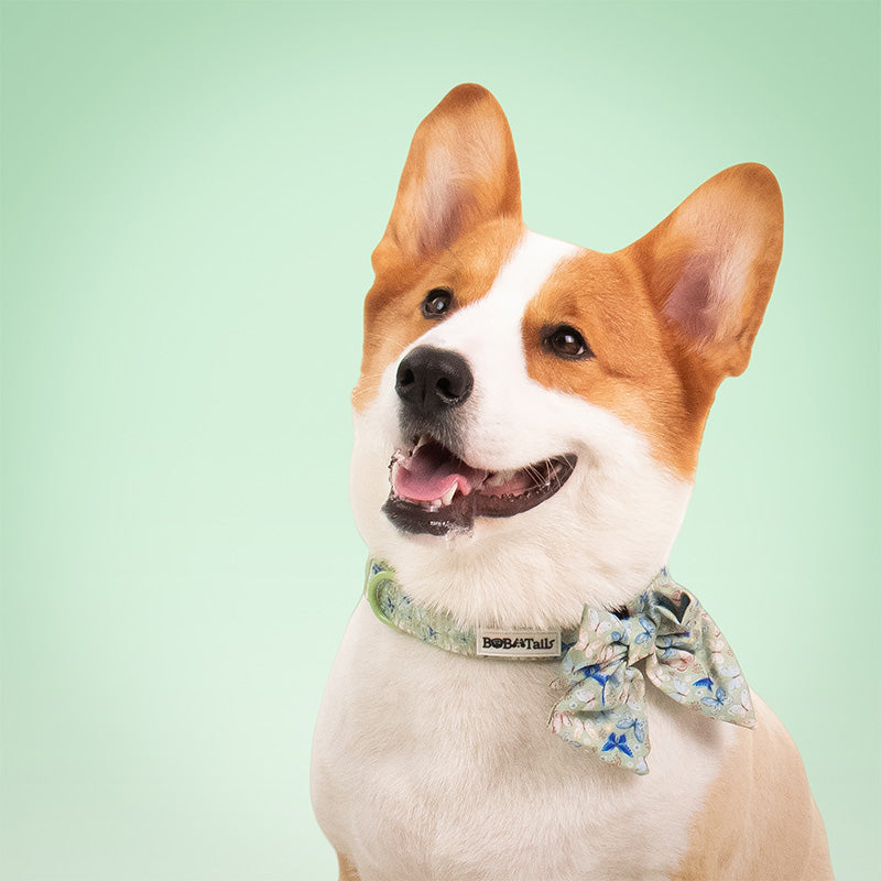 Butterfly Printed Bow Ties for Small Dogs