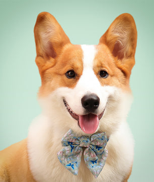 Butterfly Printed Bow Ties for Small Dogs
