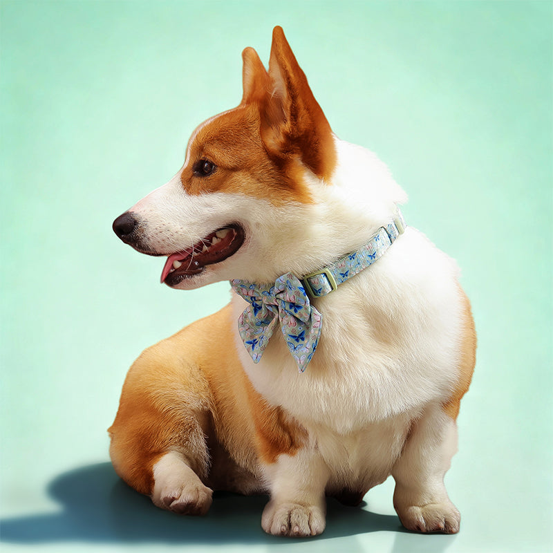 Butterfly Printed Bow Ties for Small Dogs