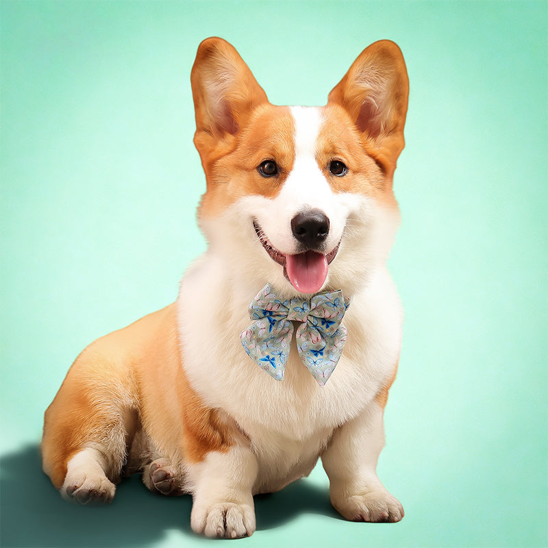 Butterfly Printed Bow Ties for Small Dogs