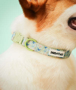 Collier de chien antique imprimé en papillon