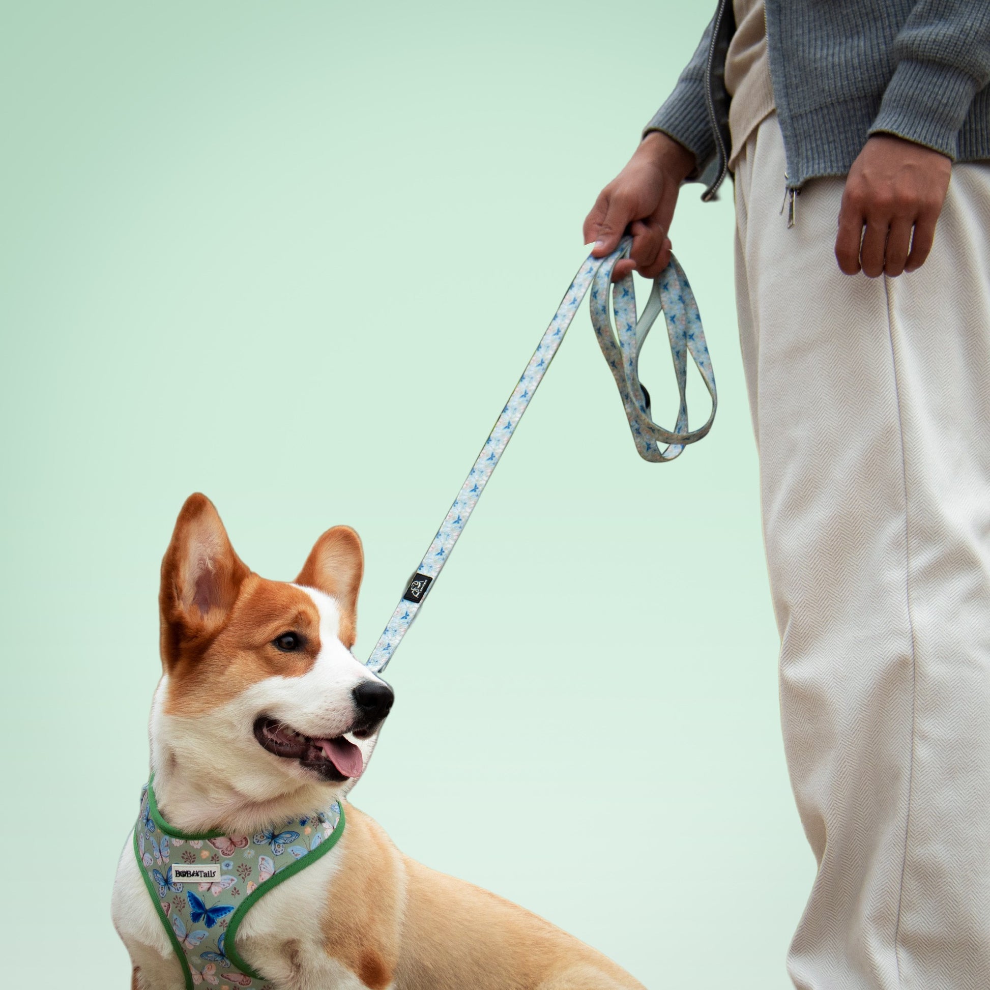 Butterfly Dog Leash – Cute 5ft Rope Leash for Small & Medium Dogs