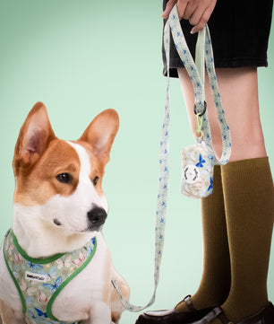 Butterfly Dog Leash – Cute 5ft Rope Leash for Small & Medium Dogs