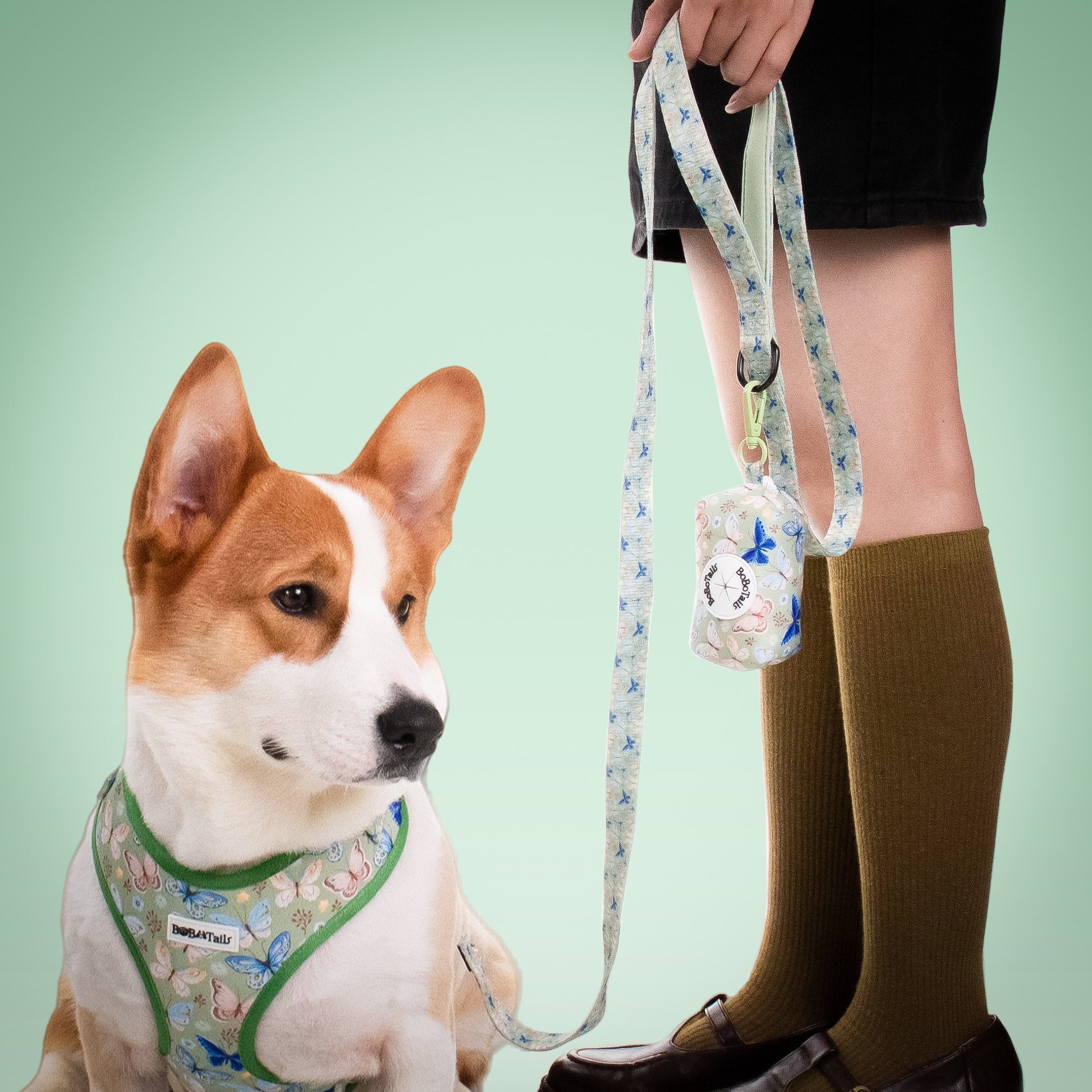 Butterfly Dog Leash – Cute 5ft Rope Leash for Small & Medium Dogs