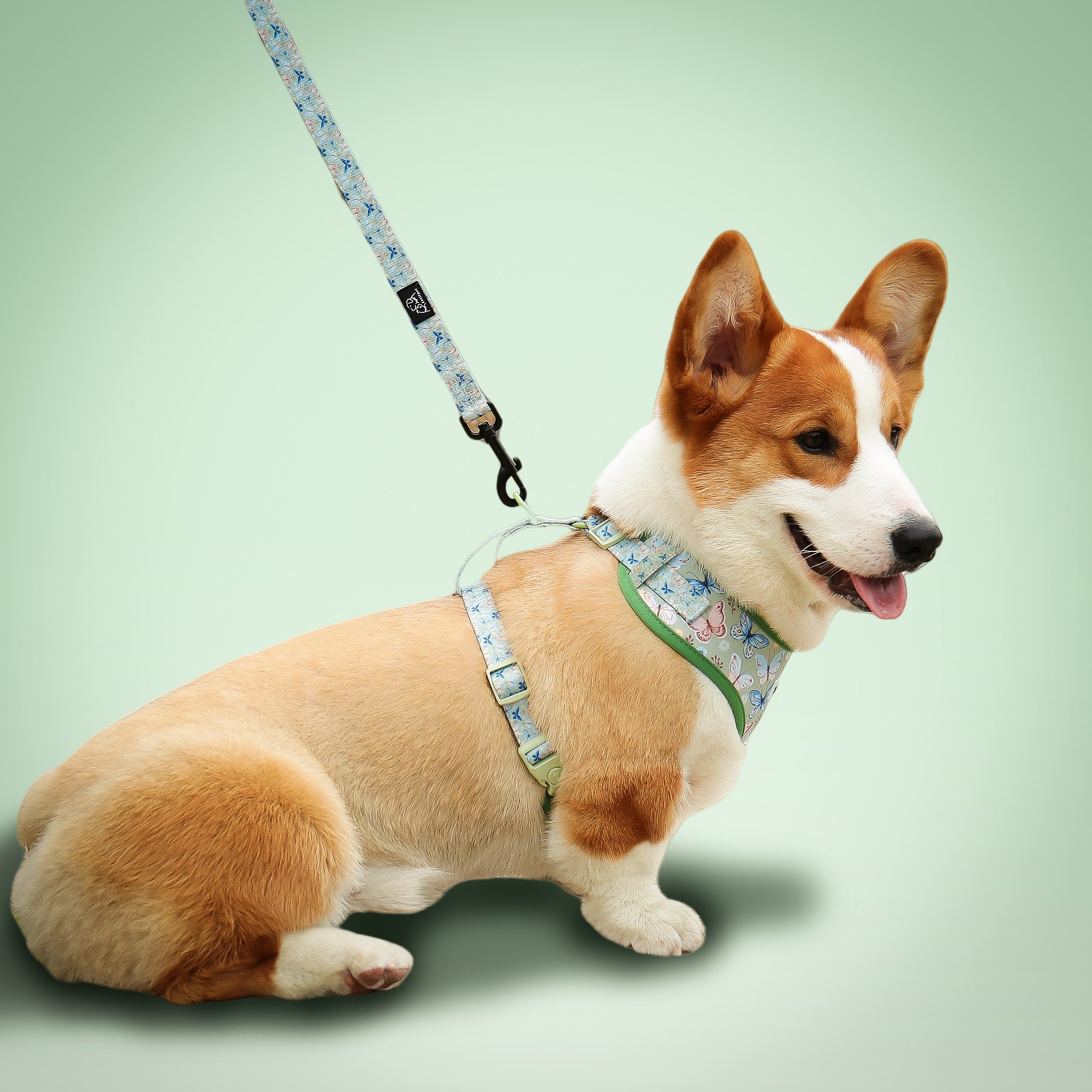 Butterfly Printed Retractable Dog Leash