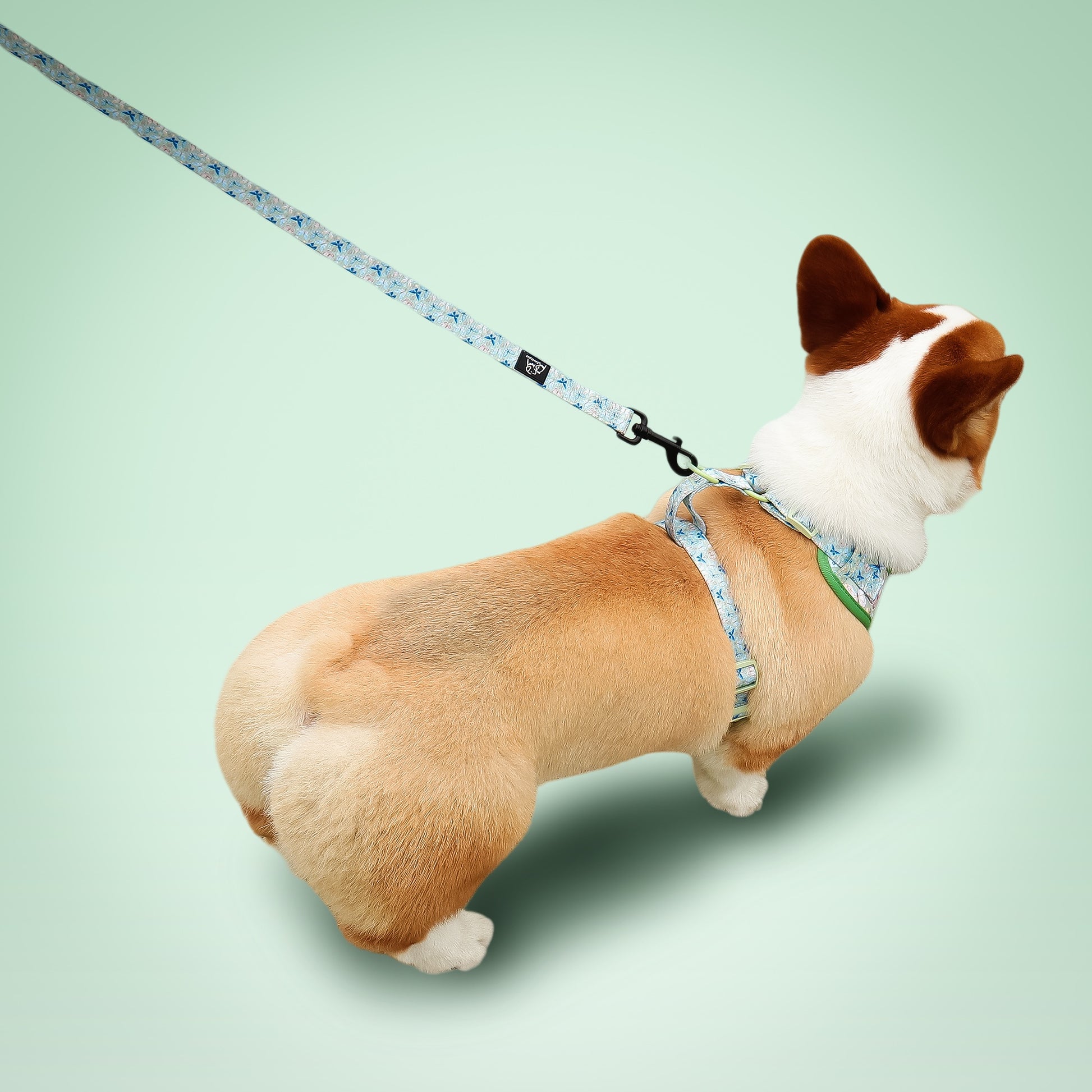 Butterfly Dog Leash – Cute 5ft Rope Leash for Small & Medium Dogs