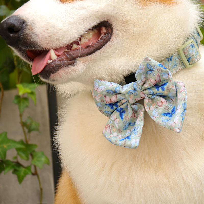 dog bow ties collars