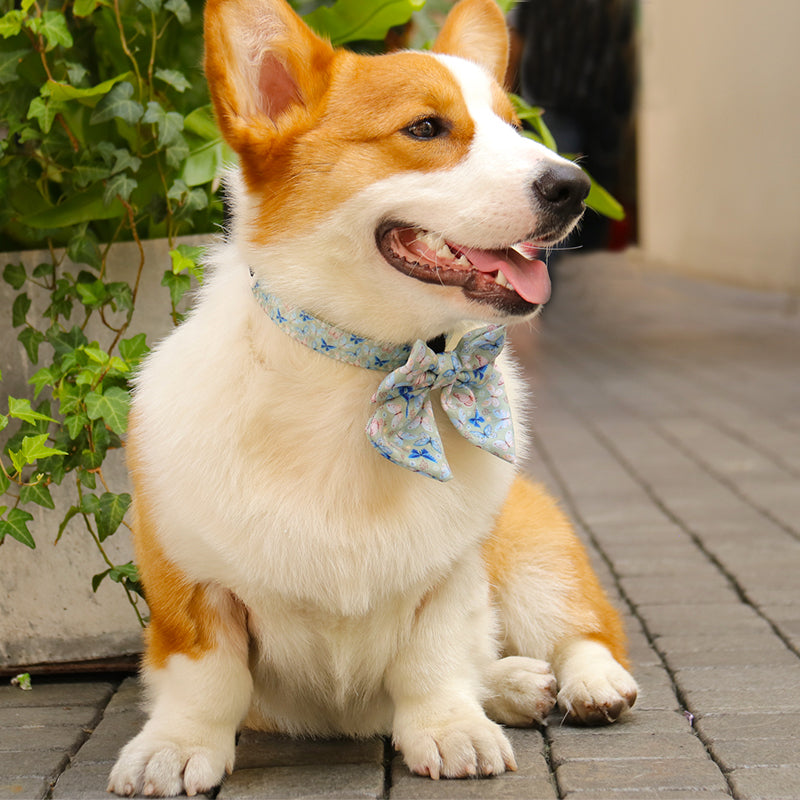 dog bow ties for collars