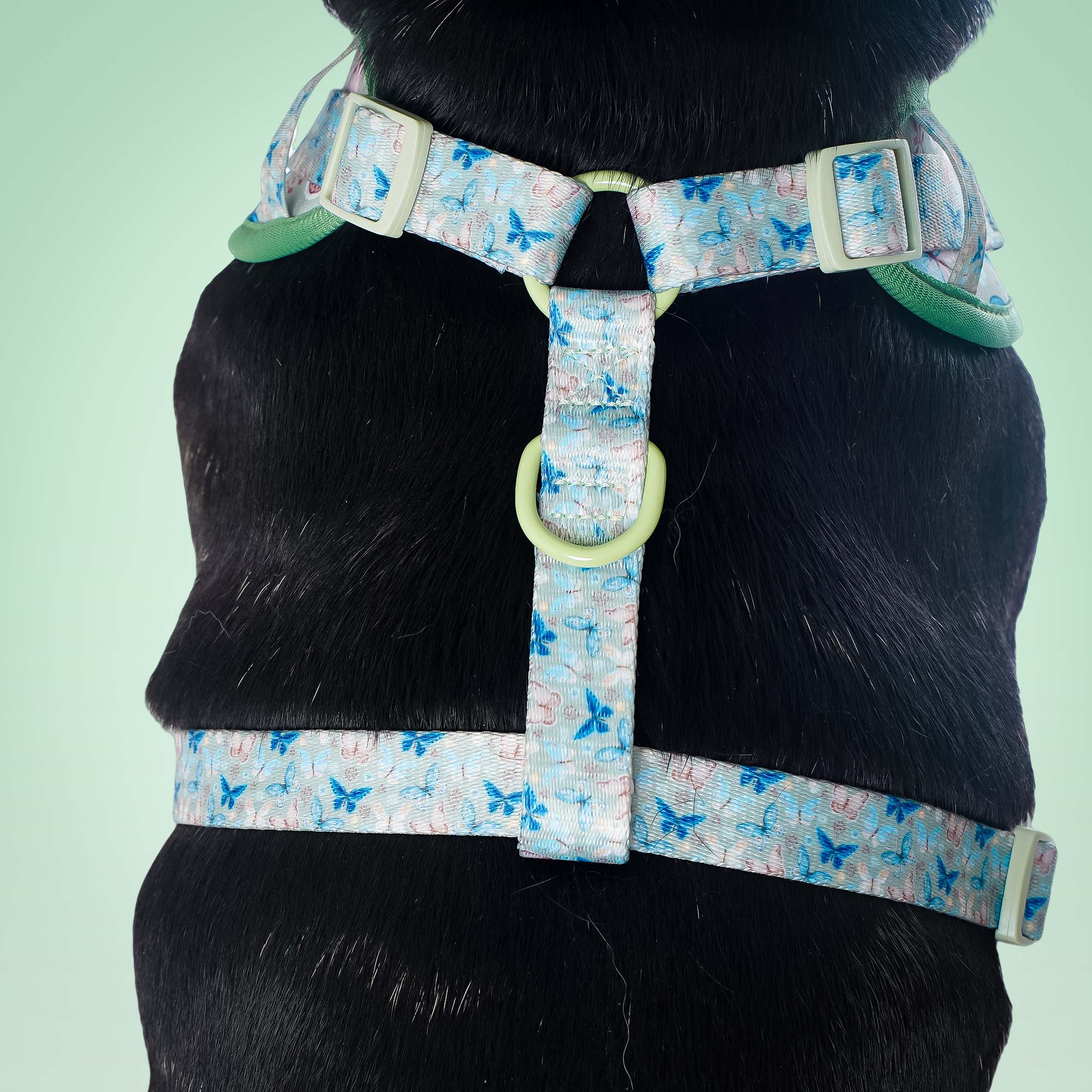 Butterfly Printed Designer Dog Harness