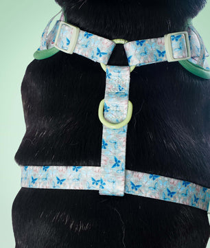Harnais de chien de créateur imprimé en papillon