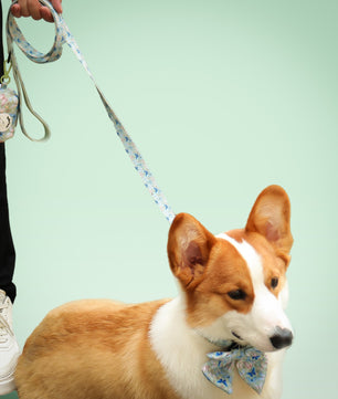 Butterfly Printed Bow Ties for Small Dogs