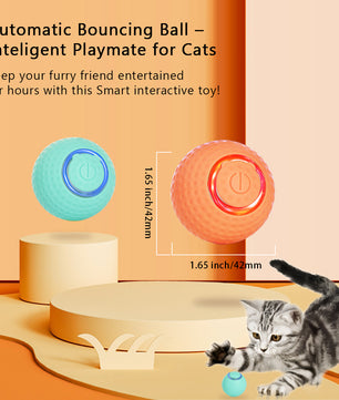 遊び時間のためのインタラクティブな猫のおもちゃボール