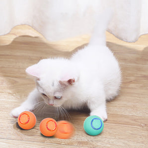 Boule de jouet de chat interactif pour le temps de jeu