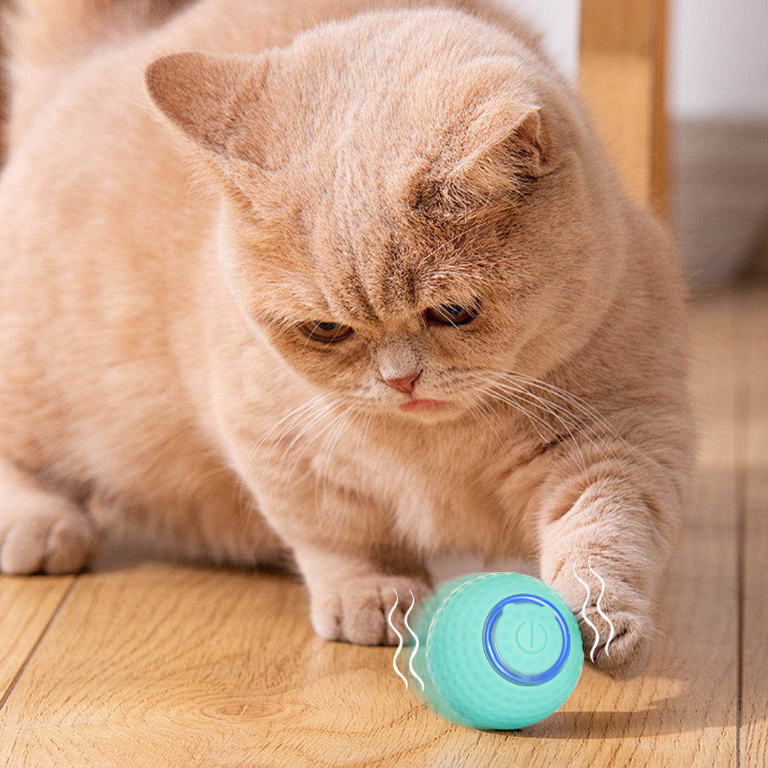 遊び時間のためのインタラクティブな猫のおもちゃボール
