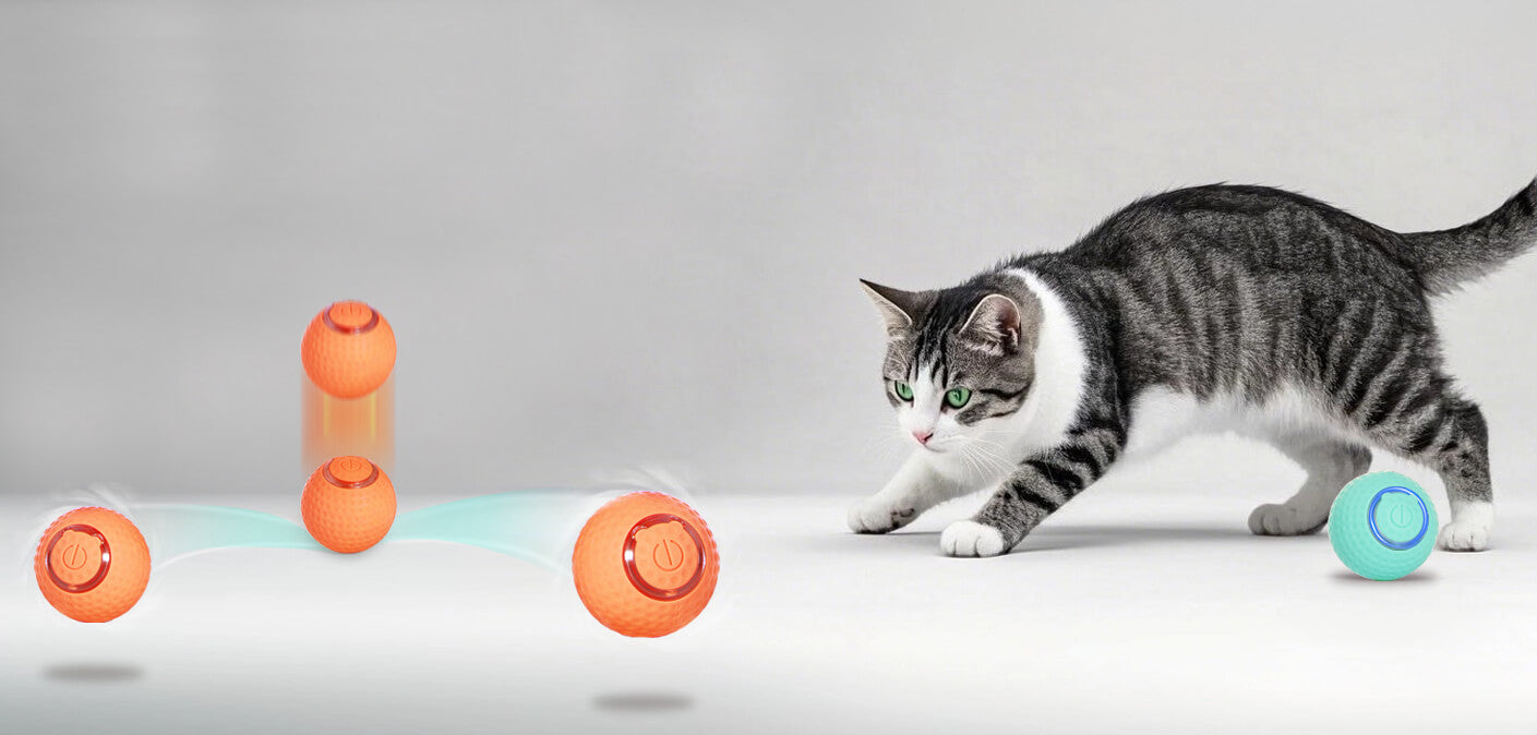 Interactive toy for cats that encourages play and mental stimulation