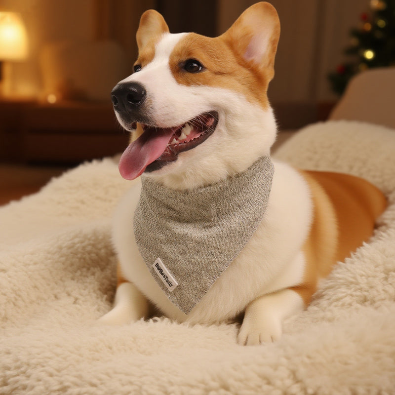 Knitted Dog Bandanas