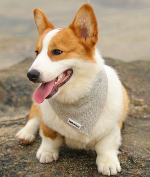 Chunky Knitted Dog Bandana