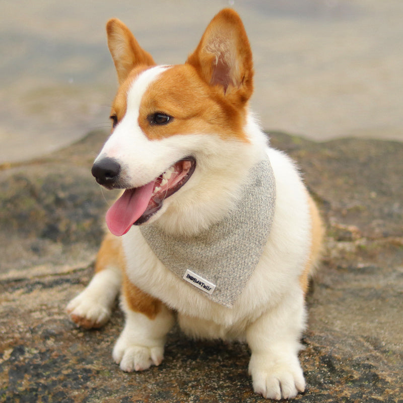 Chunky Knitted Dog Bandana
