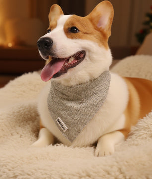 Bobotails Tangyuan wearing a taupe bandana on a soft surface with a warm background