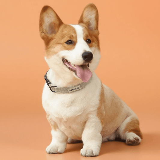 Chunky Knit Dog Collar – Soft Adjustable Collar for Small & Medium Dogs