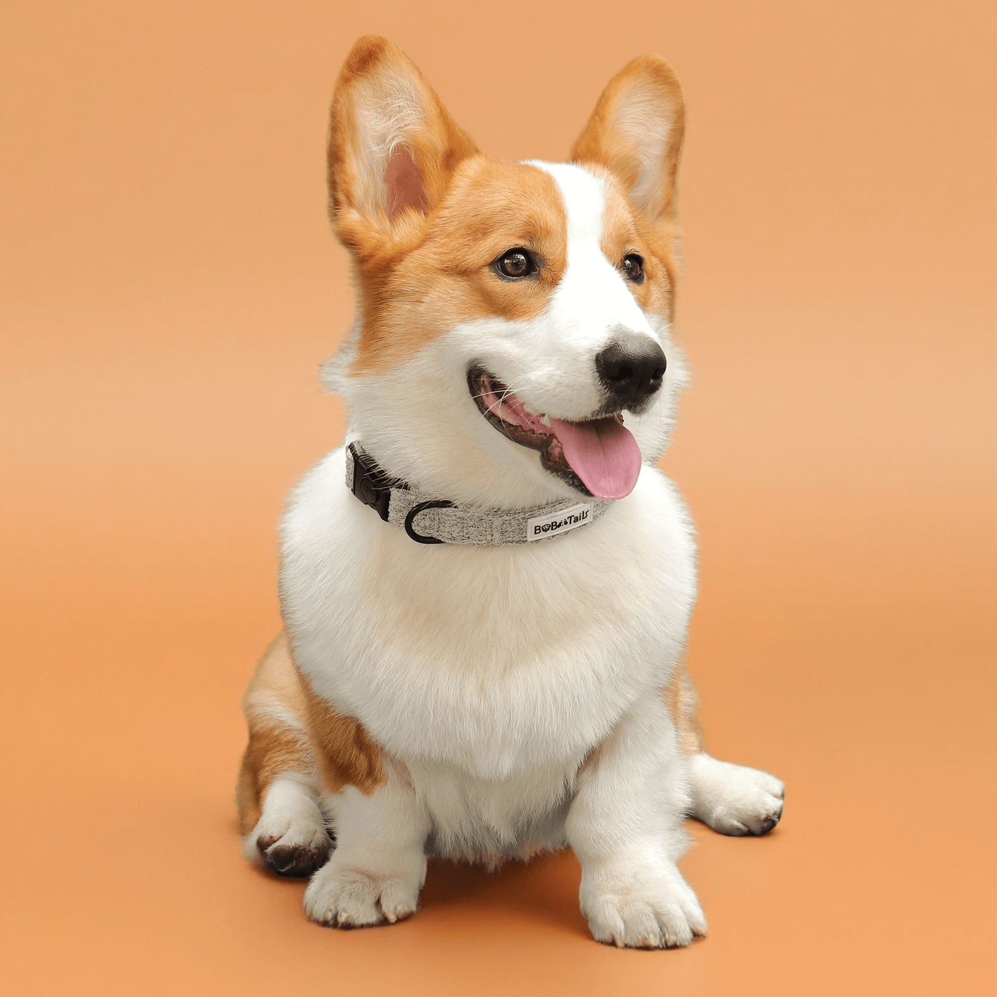 Chunky Knit Dog Collar – Soft Adjustable Collar for Small & Medium Dogs