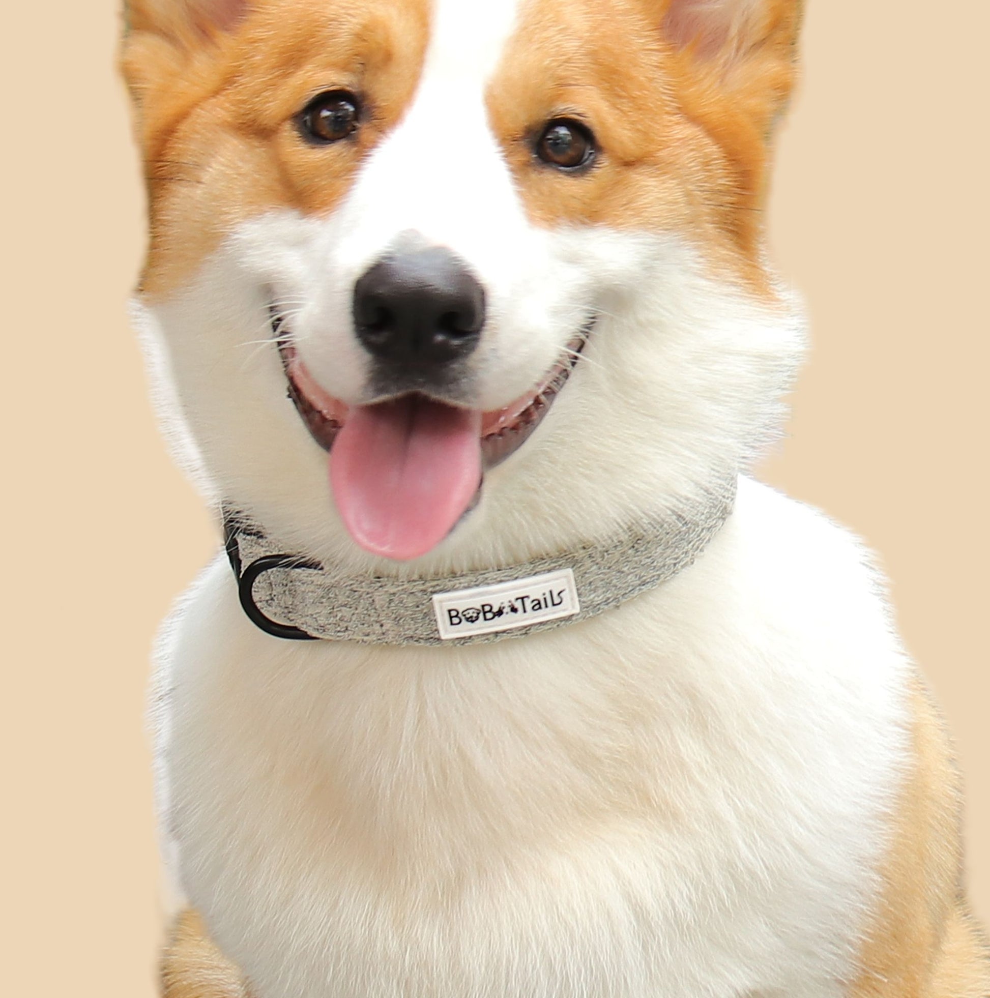 Chunky Knit Dog Collar – Soft Adjustable Collar for Small & Medium Dogs