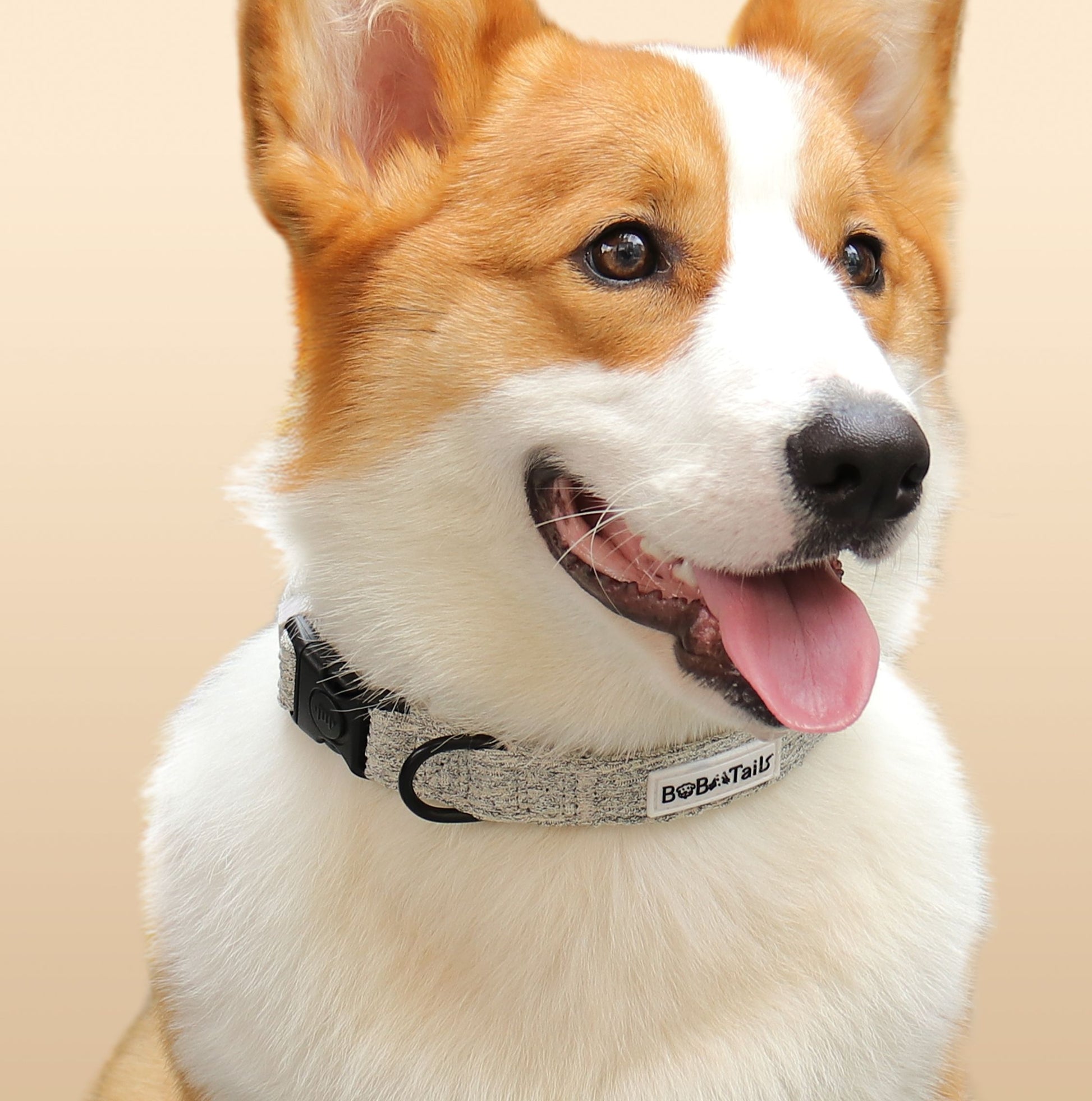 Chunky Knit Dog Collar – Soft Adjustable Collar for Small & Medium Dogs