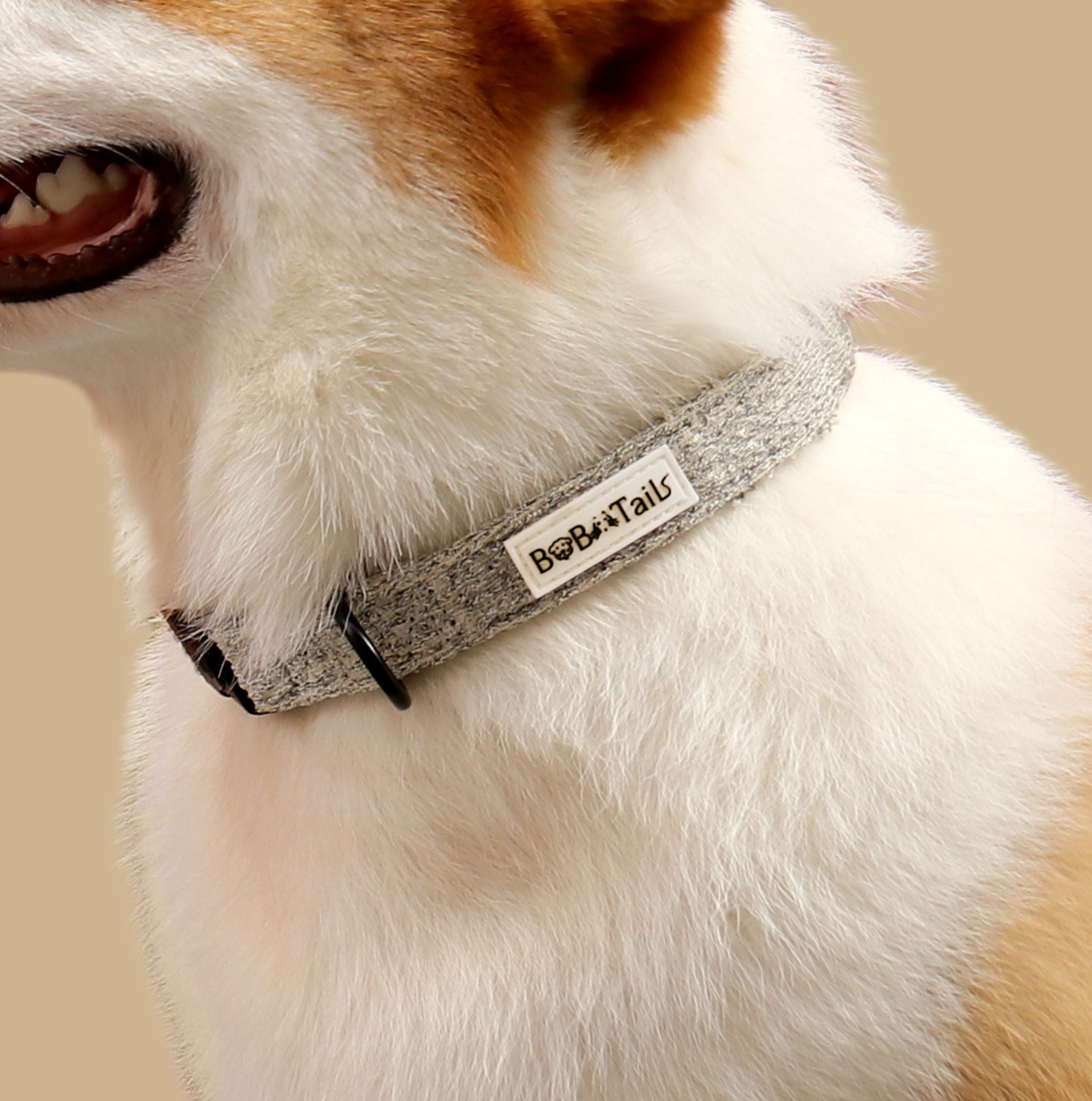 Coleiras para cães com fivela Snuggle