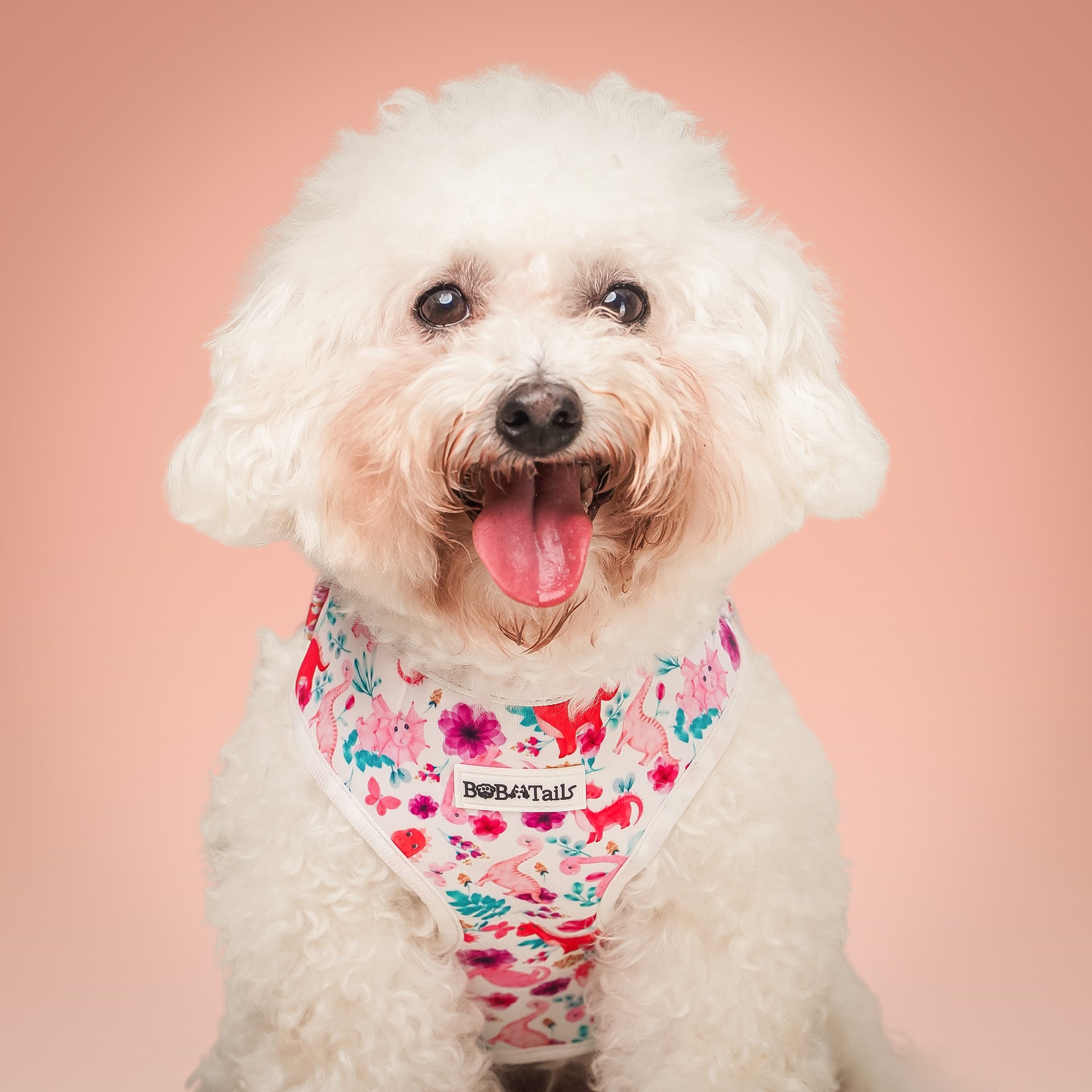 Dinosure Print xs small dog harness Dinosure Print xs small dog harness