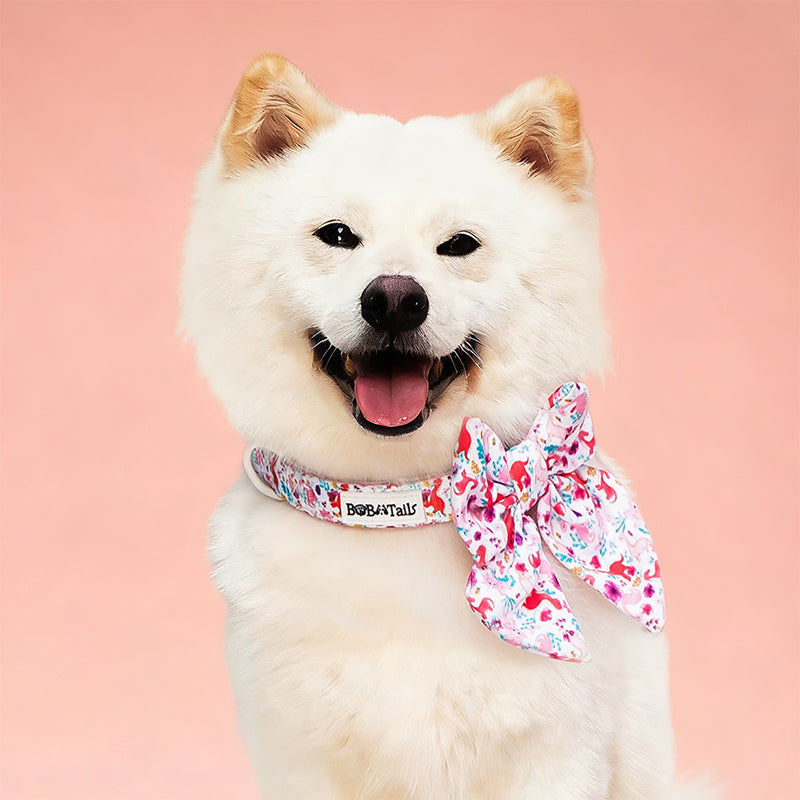 Dinosaur Printed Bow Tie